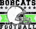 Bobcats(443)