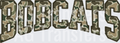 BOBCATS(104)
