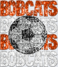 bobcats orange white(4)