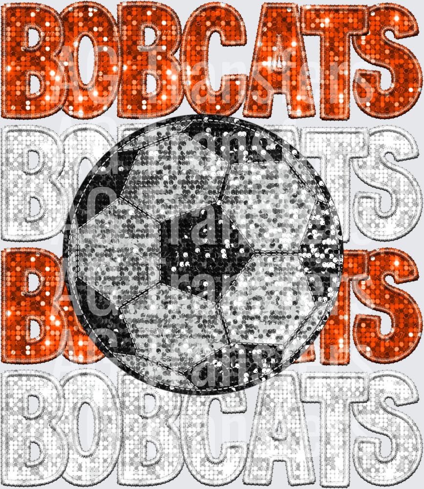 bobcats orange white(4)