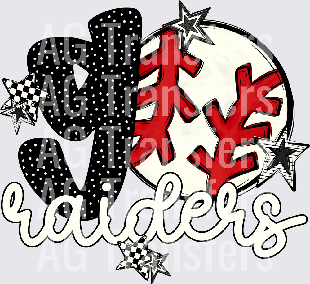 RAIDERS(210)