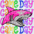Game Day (16)