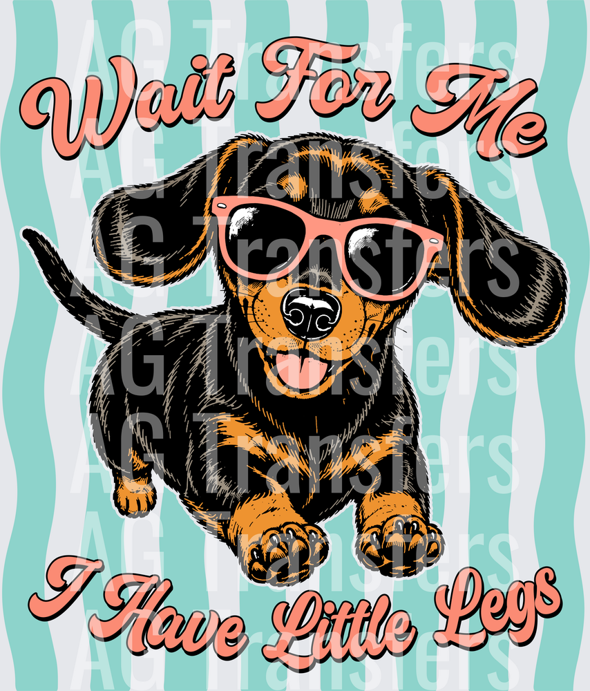 Wait For Me I Have Little Legs