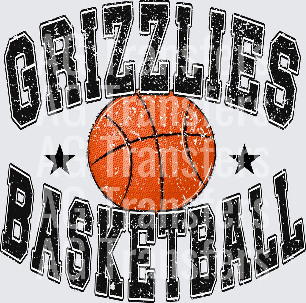 GRIZZLIES BASKETBALL