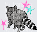 Racoontwo