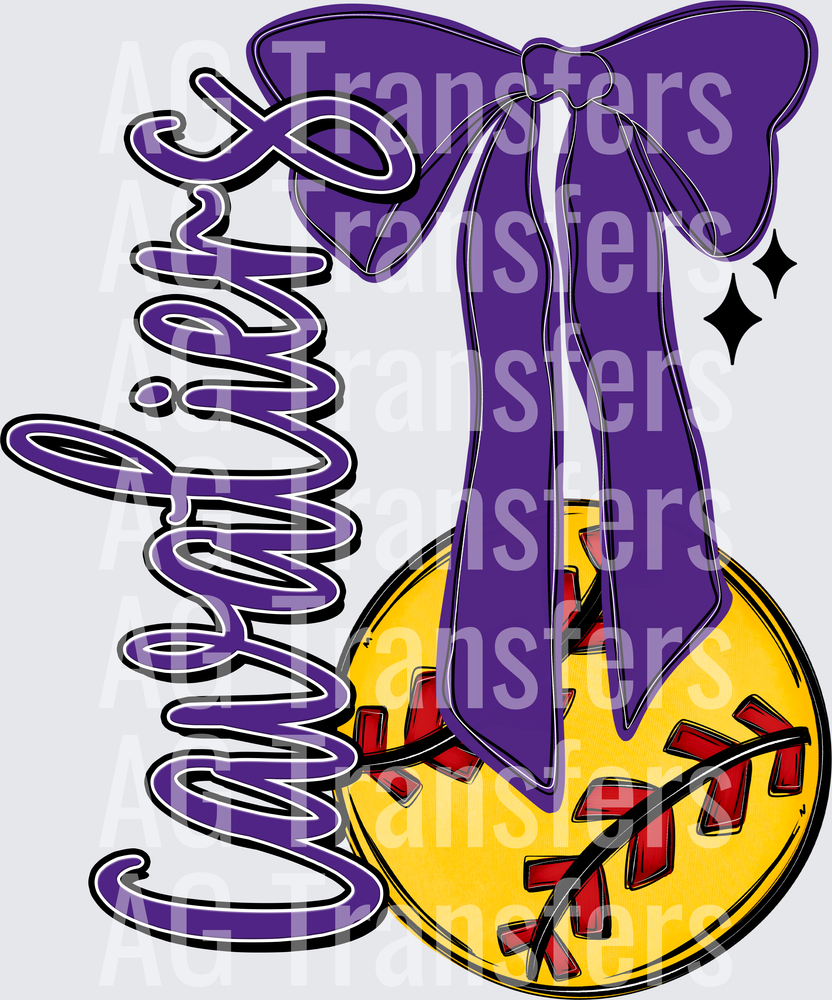 CAVALIERS(73)