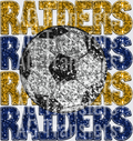 Raiders blue gold(1)
