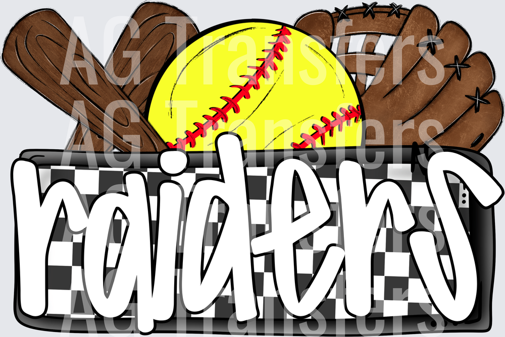 RAIDERS(230)