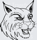 Bobcat(22)