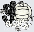OWLS(59)