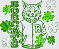 BOBCATS(536)