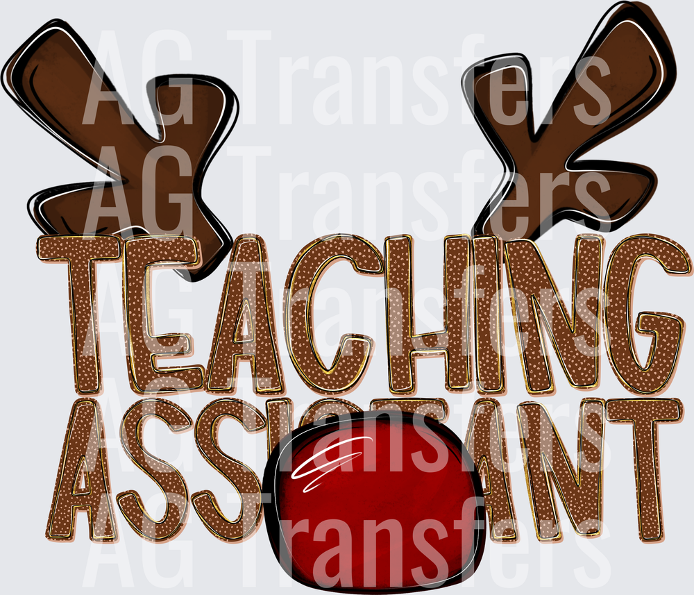 TEACHING ASSISTANT