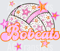BOBCATS(86)