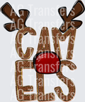 CAM-ELS
