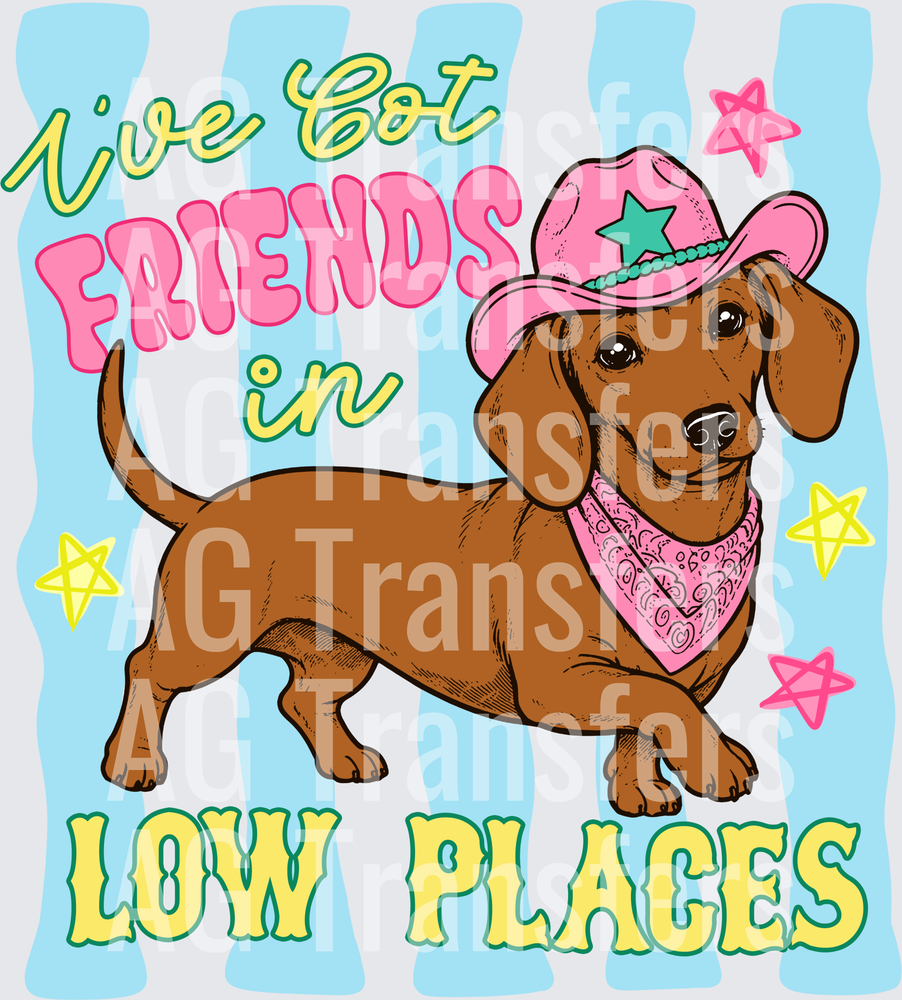 Ive Got Friends in Low Places
