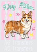 Corgi