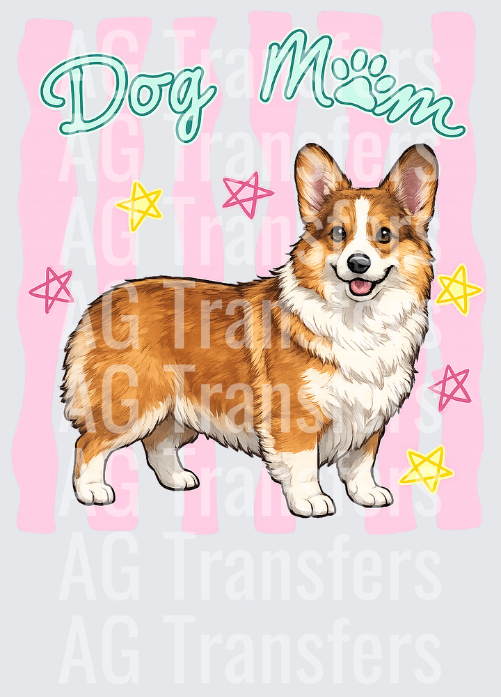 Corgi
