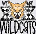 We Are WILDCATS