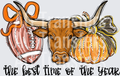 Longhorn