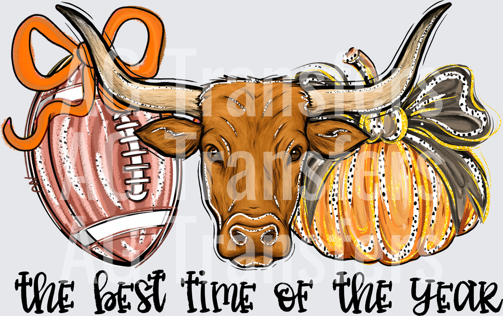 Longhorn