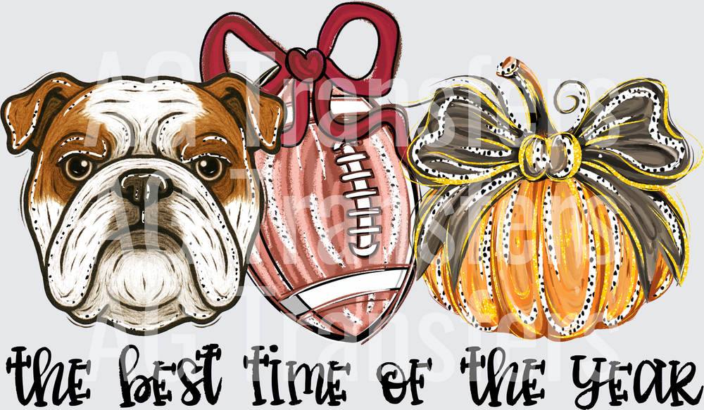 Bulldog