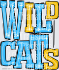 Wildcats Baby Blue Yellow