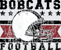 Bobcats(398)