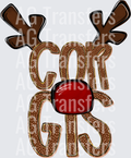 COR-GIS