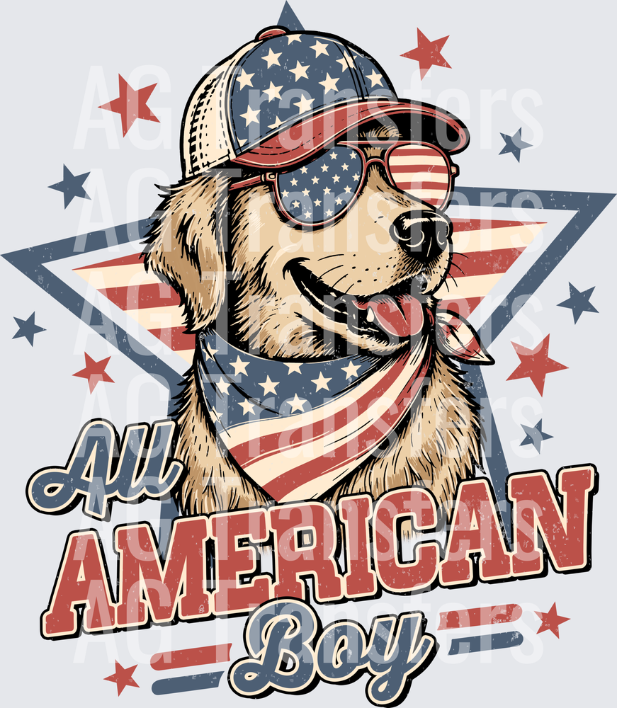 All American Boy