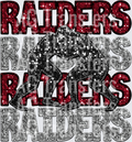 raiders crimson silver