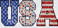USA2