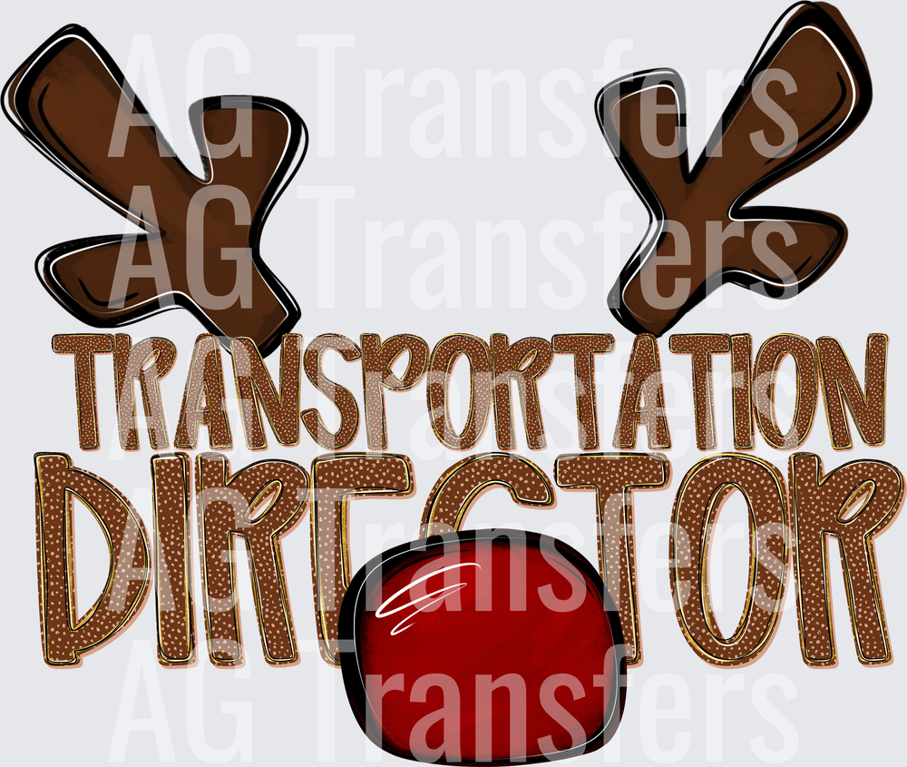 TRANSPORTATION DIRECTOR