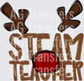 STEAM TEACHER