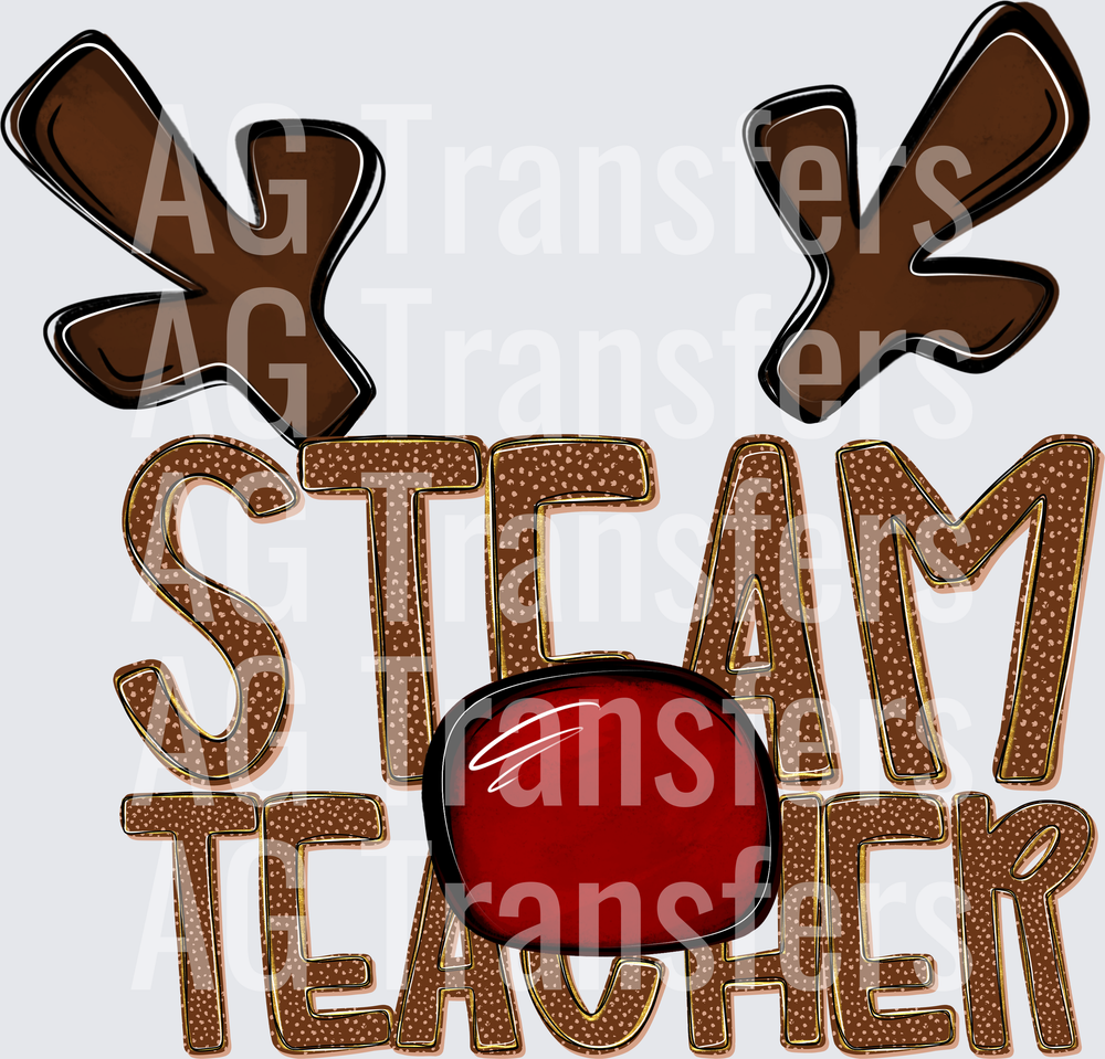 STEAM TEACHER
