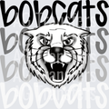 bobcats(123)