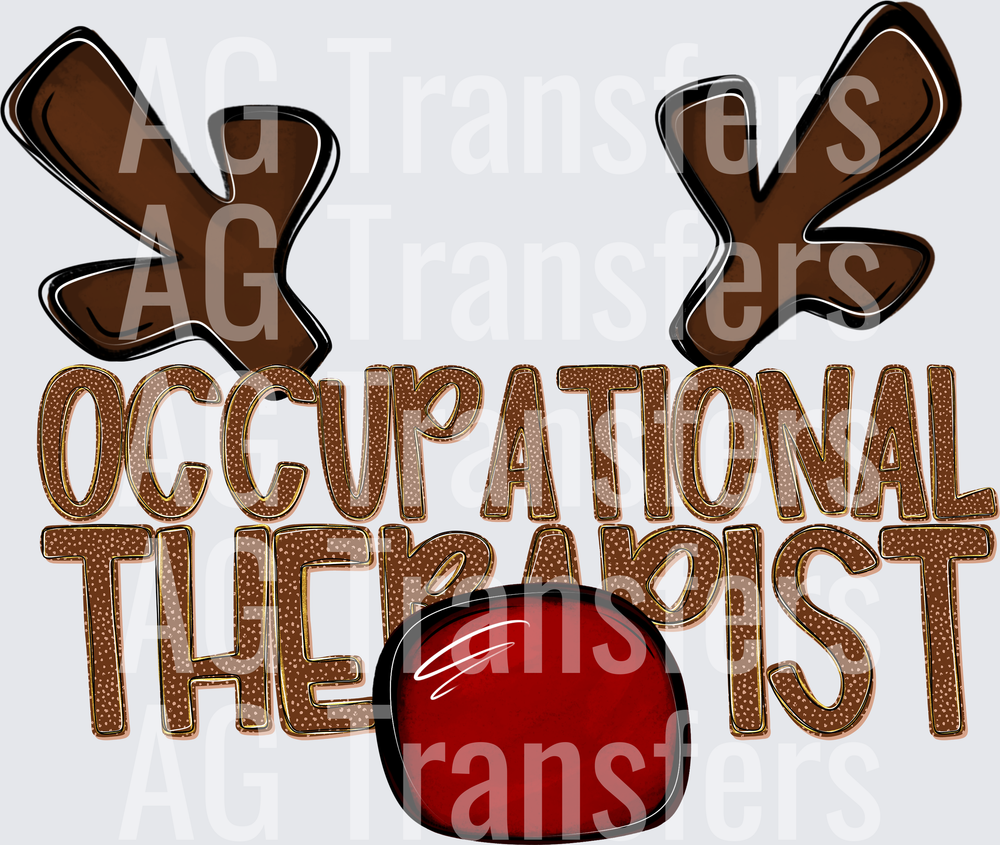 OCCUPATIONAL THERAPIST