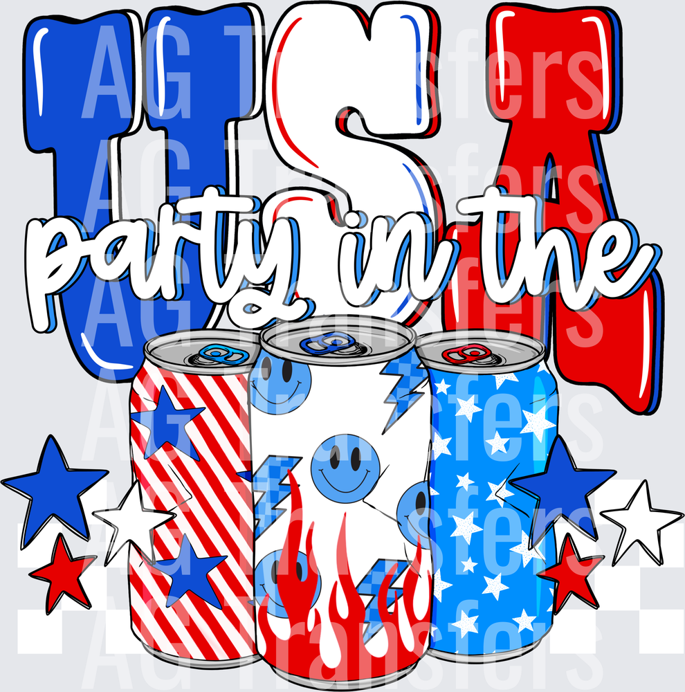 Party in the usa