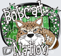 BOBCAT(21)