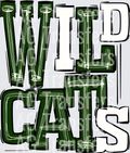 Wildcats Green White