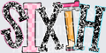 BACK TO SCHOOL PENNANT SIXTH
