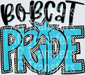 bobcat(23)