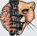 bobcats basketball (2)