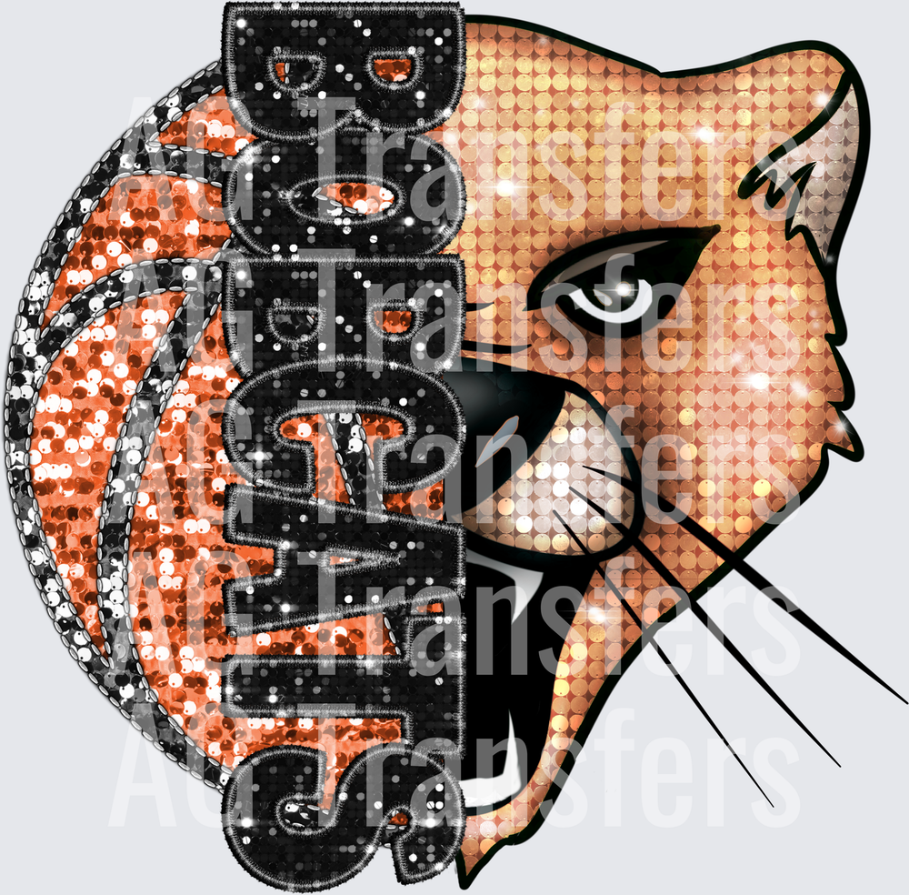 bobcats basketball (2)
