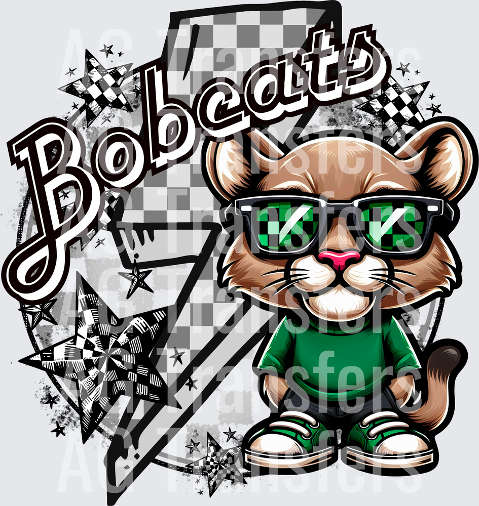 BOBCATS (2)(10)