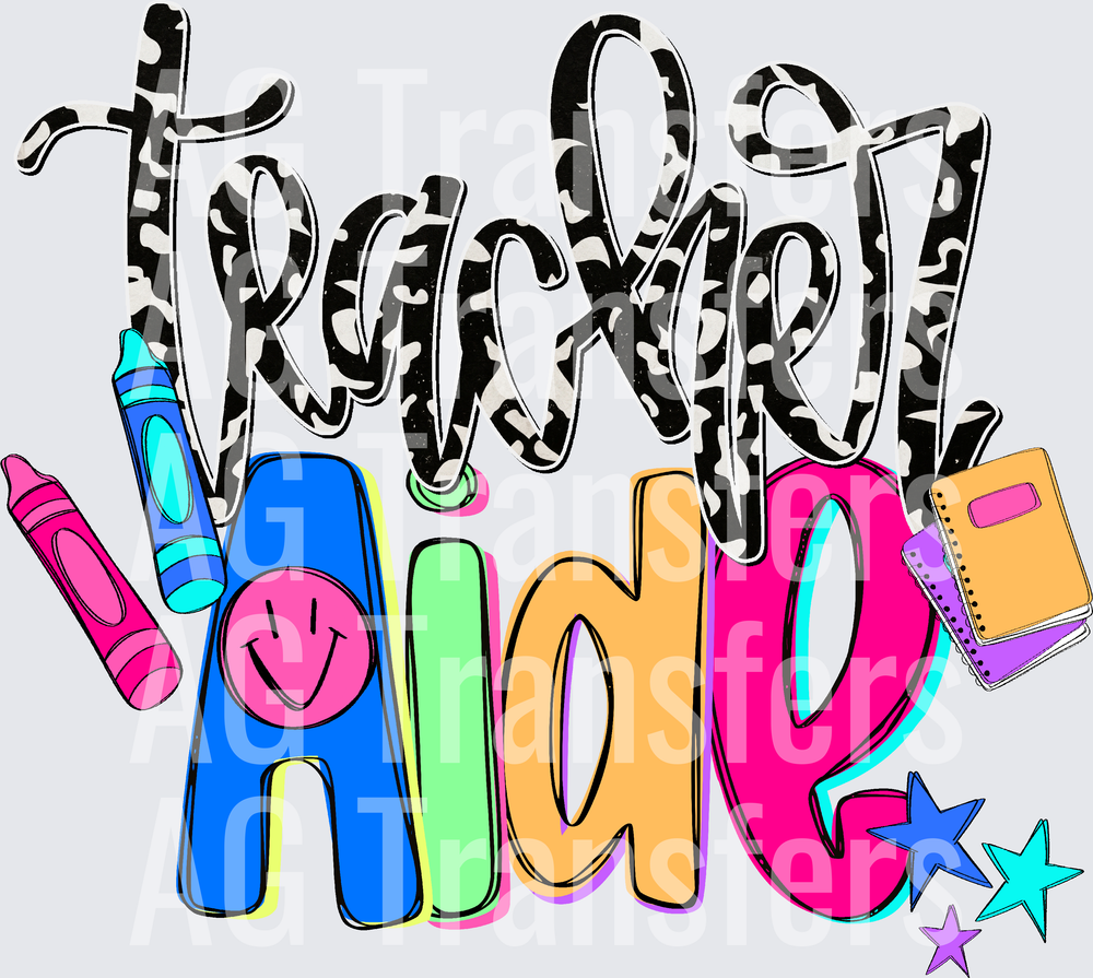 Teacher_Aide