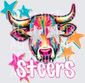 STEERS