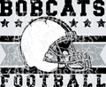 Bobcats(259)