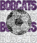 bobcats purple white(3)