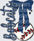 Bobcats(523)
