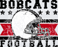 Bobcats(304)